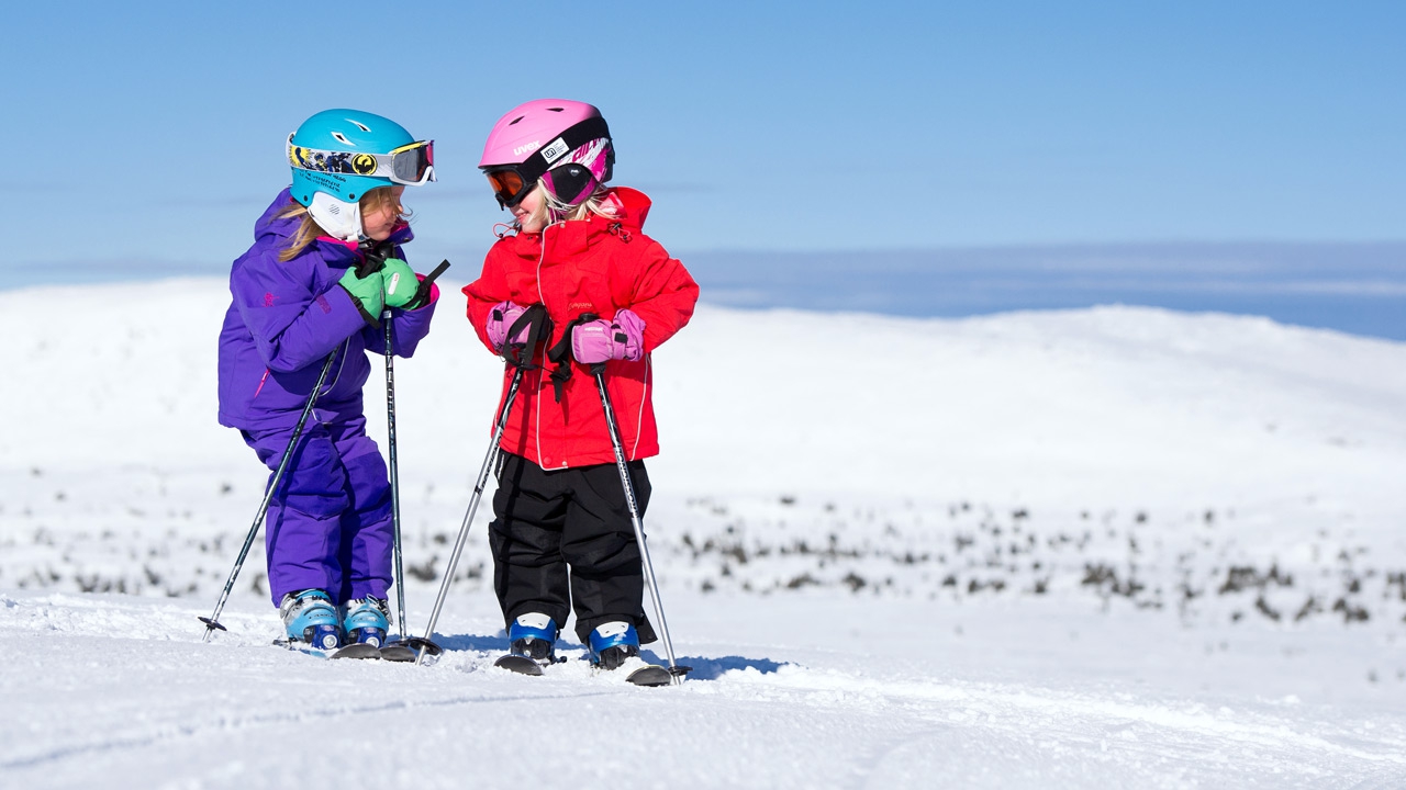 дети на лыжах